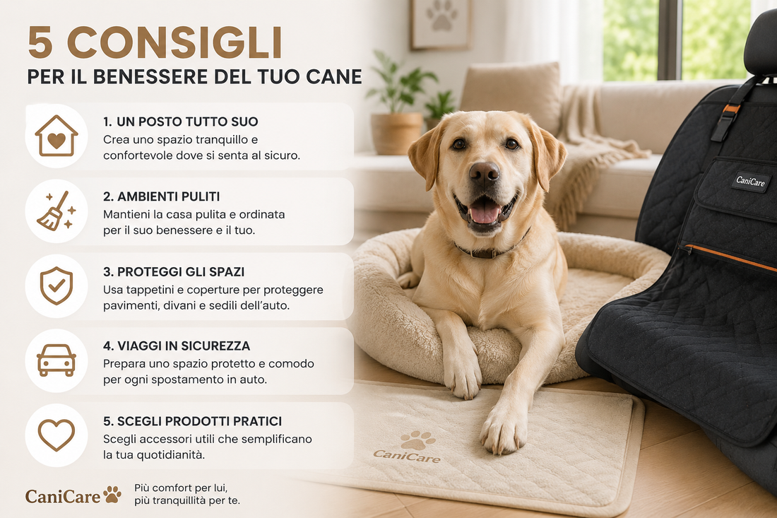 5 consigli per rendere più confortevole la vita del tuo cane