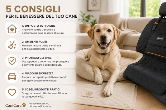5 consigli per rendere più confortevole la vita del tuo cane